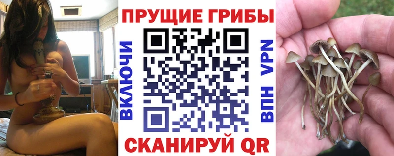 где продают наркотики  omg как зайти  Галлюциногенные грибы мицелий  Инта 